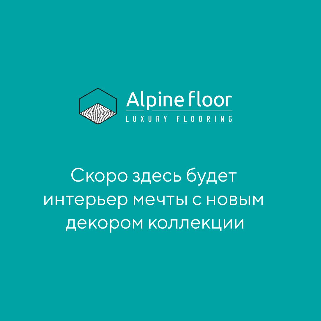 https://bitrix.alpinestore.su/upload/iblock/3e7/b3zes3xln746dg91smcrpl33jzifccc9/alpine.jpg